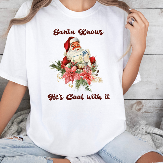 Santa Knows He's Cool with it Christmas t-shirt