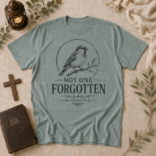 Not One Forgotten T-Shirt — Christian Scripture Bird Tee (Matthew 10:29)