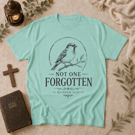 Not One Forgotten T-Shirt — Christian Scripture Bird Tee (Matthew 10:29)